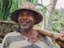 Aposentadoria Rural: o benefício que reconhece o trabalho de quem faz o Brasil crescer